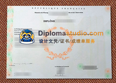 Avignon Université Diploma
