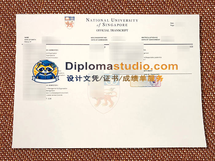 新加坡国立大学成绩单, National University of Singapore Transcript