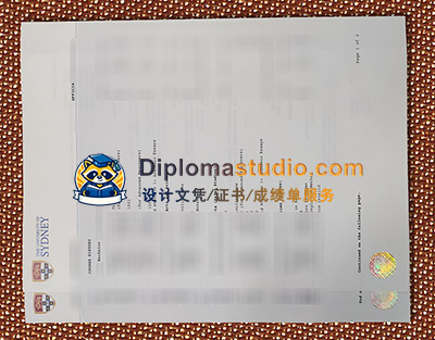 USYD Transcript
