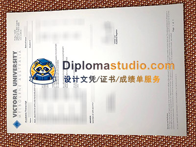 VU Transcript