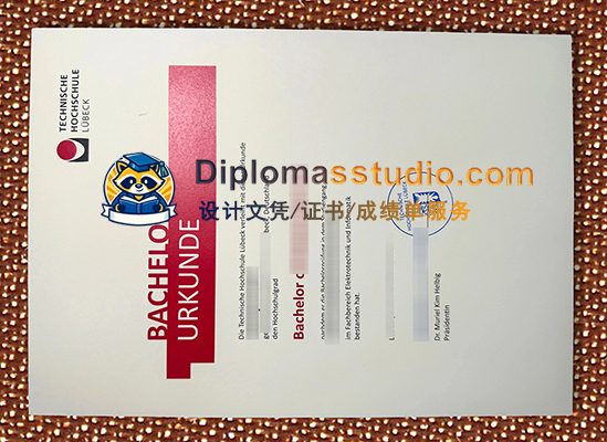 吕贝克应用科学大学文凭, Technische Hochschule Lübeck Urkunde