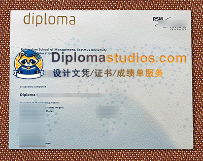 Rotterdam School of Management Diploma
