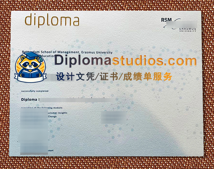 Rotterdam School of Management Diploma
