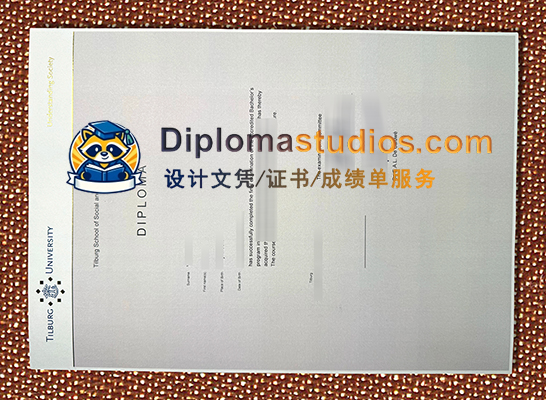 Tilburg University Degree Certificate