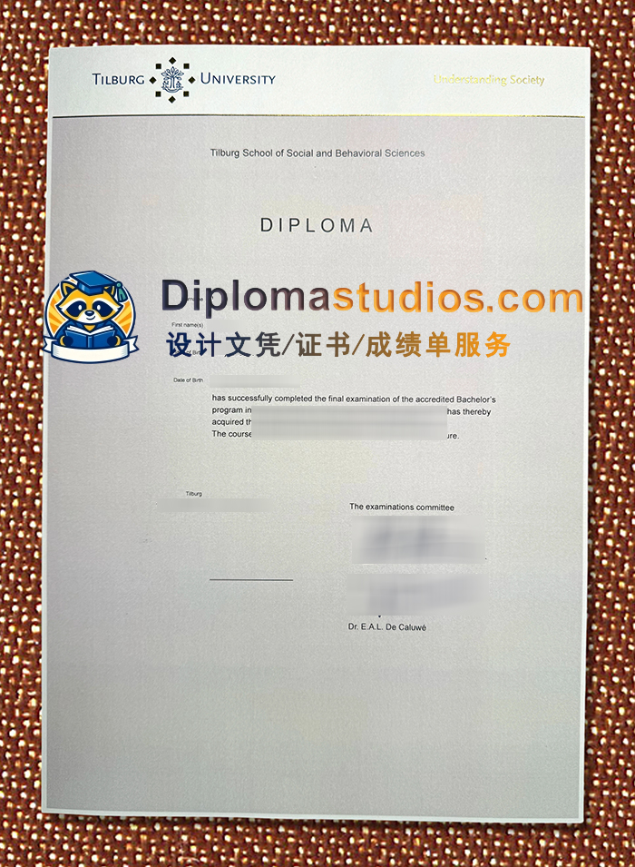 Tilburg University Degree Certificate